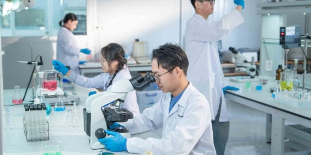 Nghiên Cứu Xử Lý Mảng Bám Ngành Giấy