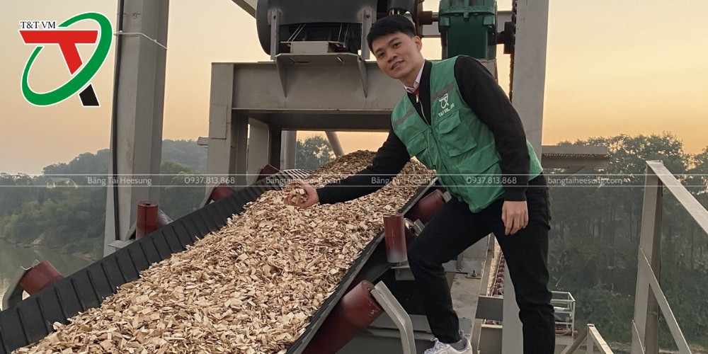 Băng Tải Gân V Chở Dăm Gỗ