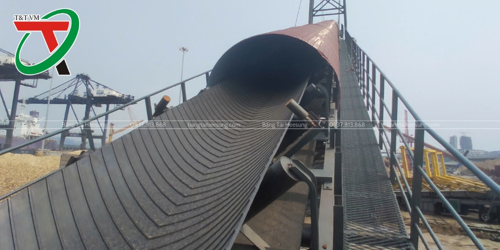 Băng Tải B800 Gân V