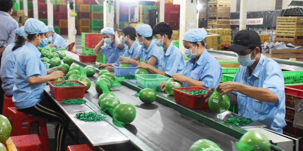 Mô Hình Kinh Tế Tập Thể