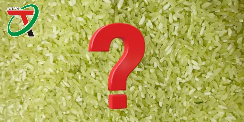 Sự thật về gạo Séng cù xanh: Một cơ hội hay một cạm bẫy?