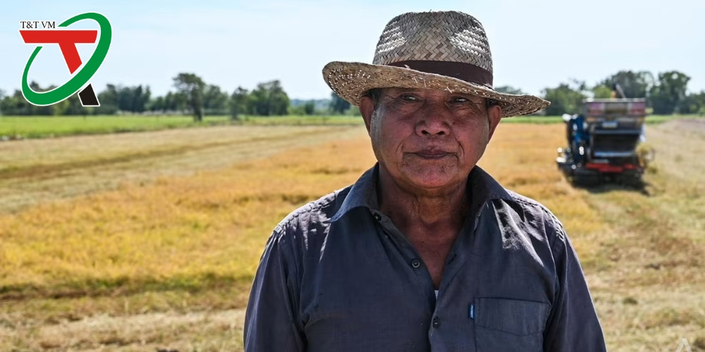 Hiện tượng El Nino và Ảnh Hưởng Đến Nguồn Cung Ngũ Cốc Toàn Cầu