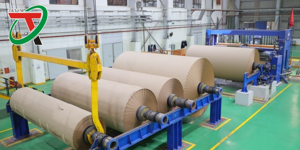 Xử lý màng bám ngành giấy: Giải pháp nâng cao hiệu quả sản xuất trong công nghiệp giấy