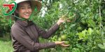 Phụ nữ khởi nghiệp từ nông sản & Một hành trình vươn lên đầy cảm hứng
