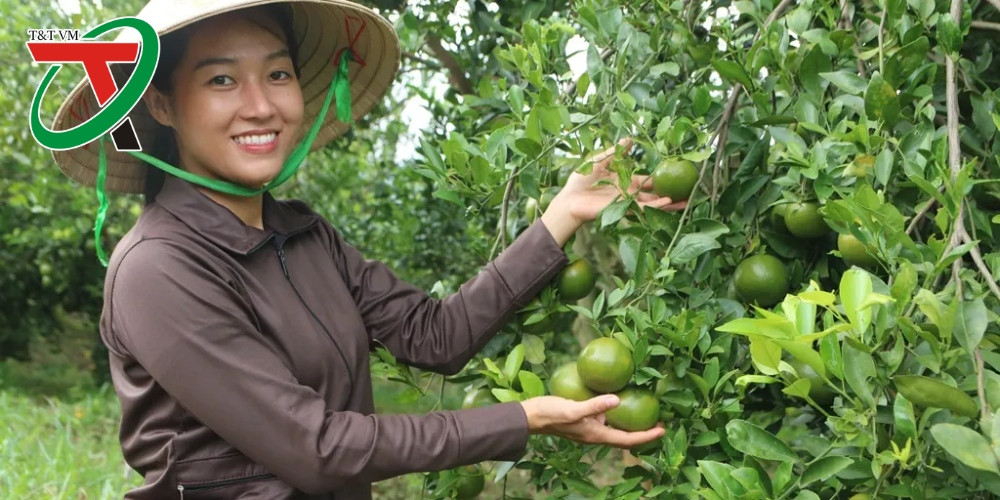 Phụ nữ khởi nghiệp từ nông sản & Một hành trình vươn lên đầy cảm hứng