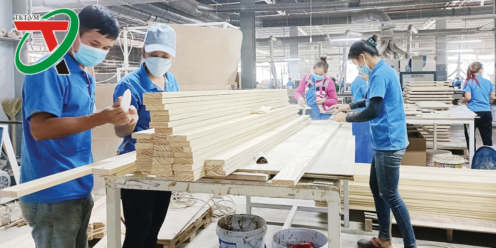 Chiến lược thị trường ngành gỗ Việt Nam: Đa dạng hóa để tăng sức bật xuất khẩu
